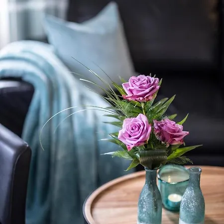 Apartament Altstadt-chalet @conny's *