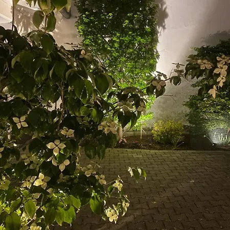 Altstadt-chalet @conny's Brilon