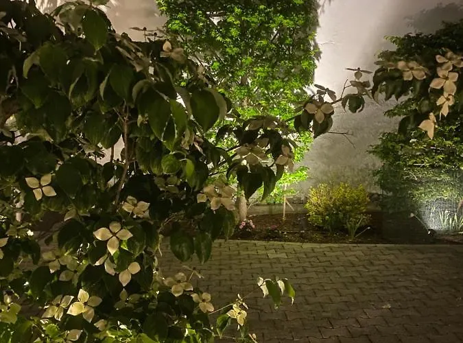 Altstadt-chalet @conny's Brilon